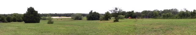 pasture