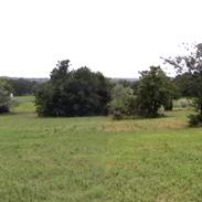 The Ranch