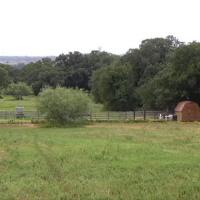 pasture2