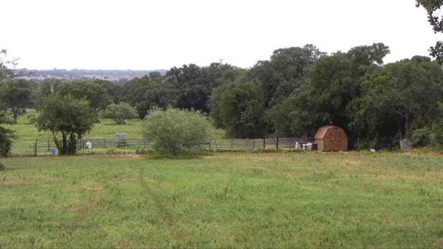 pasture2