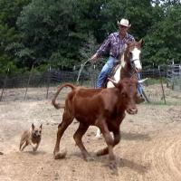 Western Birthday Parties
