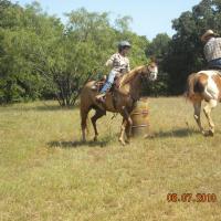 Learning to run the barrels