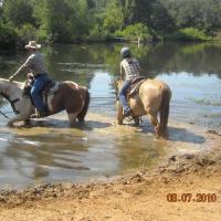 Bob & Anisa walking the horses in the Lake 