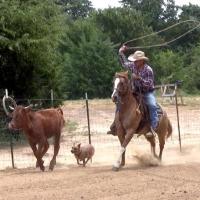 5 Days of Roping Training